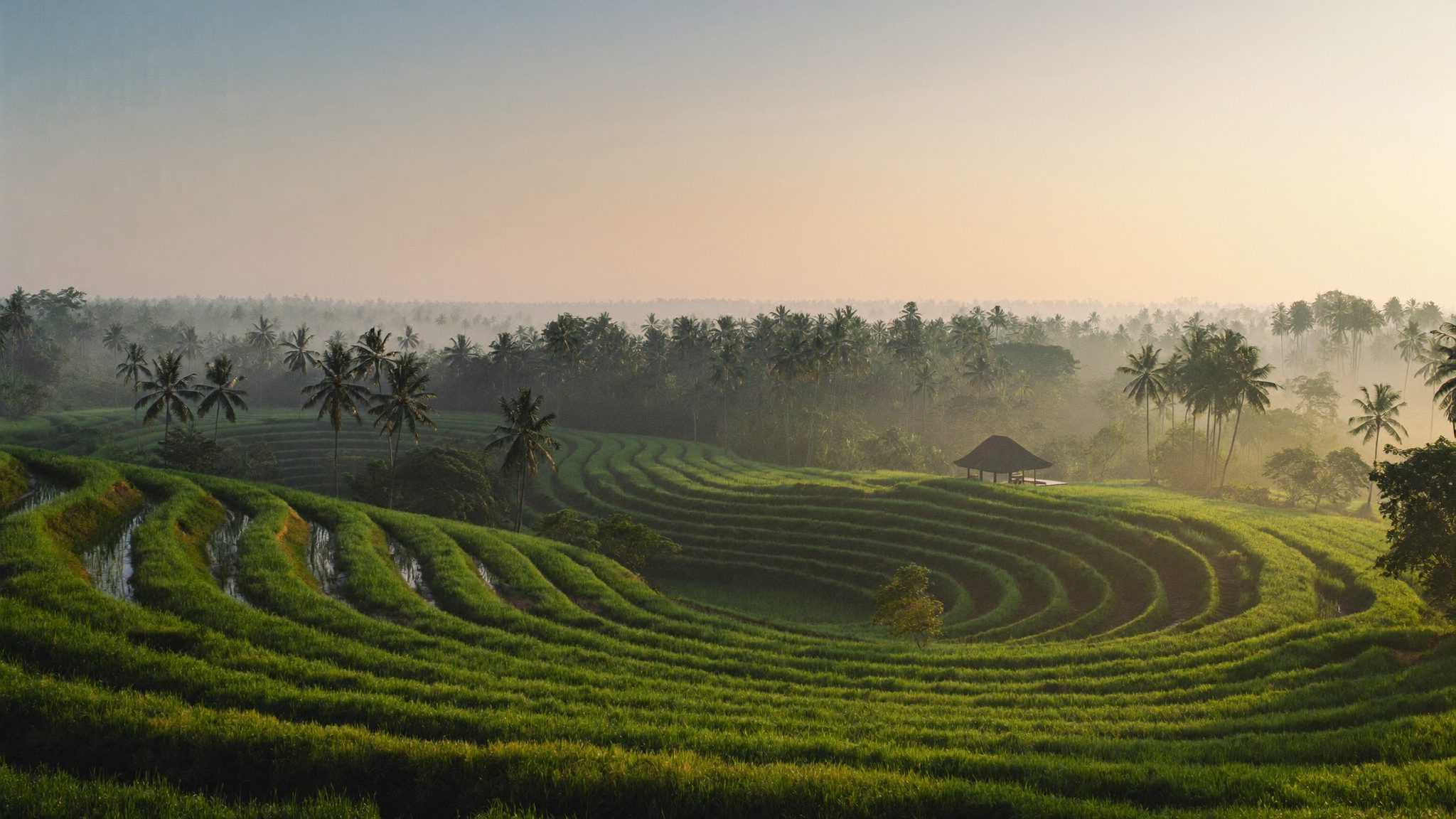 Tanah kavling di Tabanan dengan hamparan sawah di sisi barat